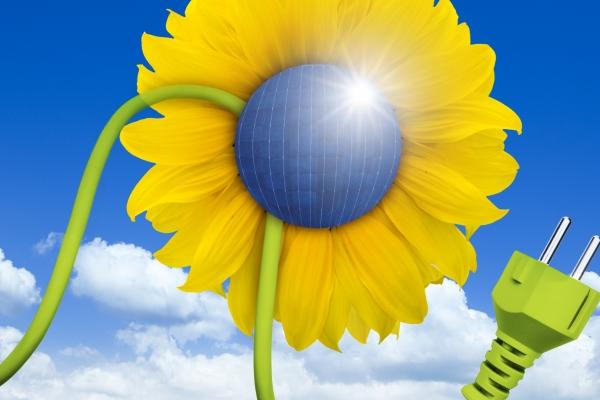 属猴人2025年12月运势