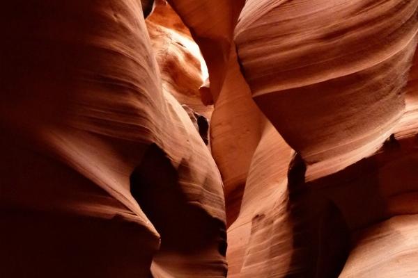 属马人一生最克3个人的属相，属马一生最讨厌3个人