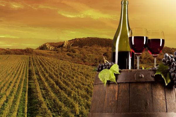 1979年属羊大忌颜色