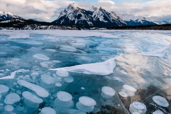 74属虎人的灾难年龄