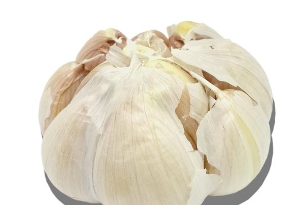 属蛇人二婚是什么年龄