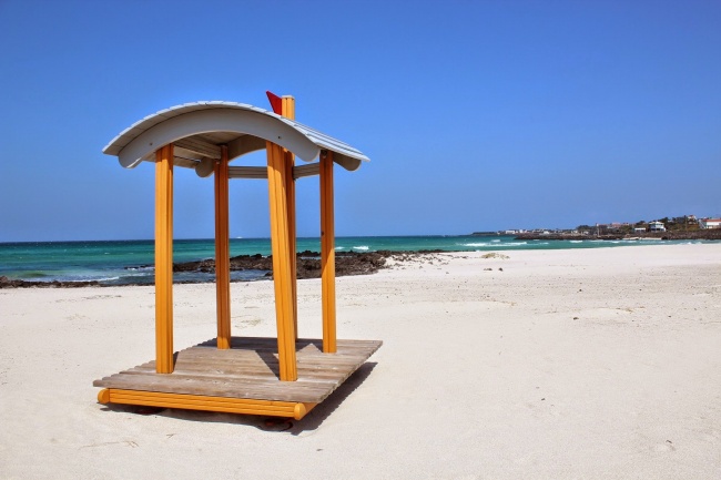 79属羊的正缘桃花是谁