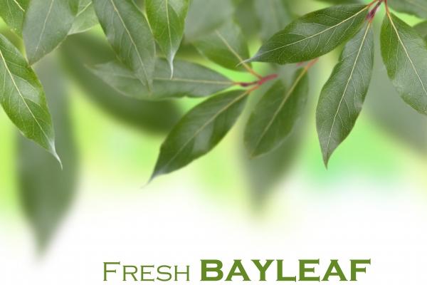 属羊人报复你的表现