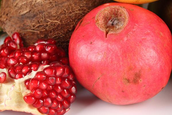 2008年属鼠的命好不好