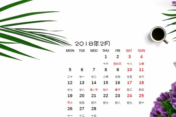 87年的兔今年运势