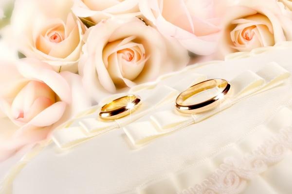 属蛇人爱算计吗