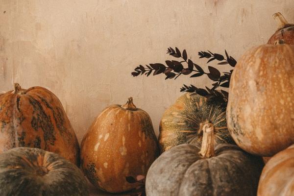 属狗身边的小人是谁