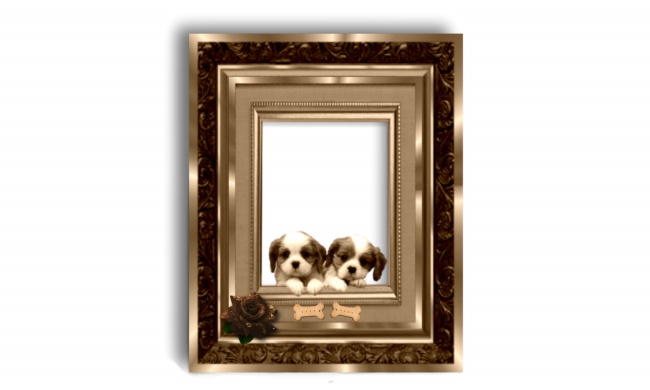 69年鸡男2025运势如何