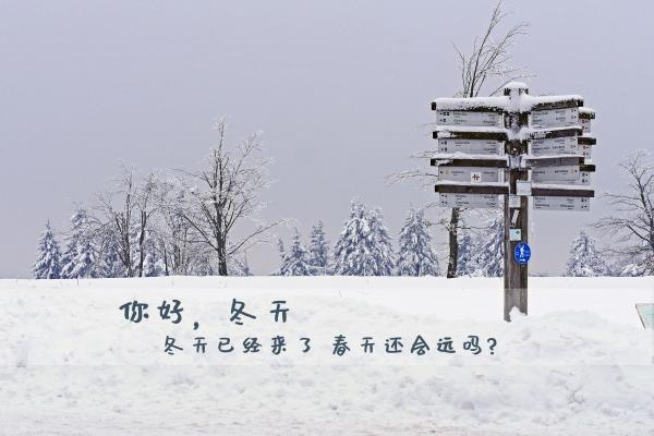 属猪女生属蛇宝宝好吗