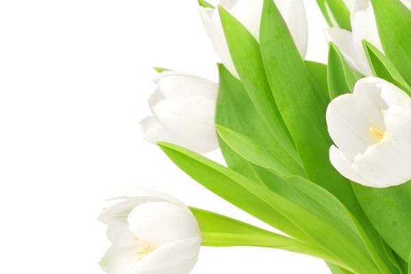 2005属鸡人的灾难年龄