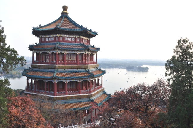 1981年几月出生的鸡最苦命