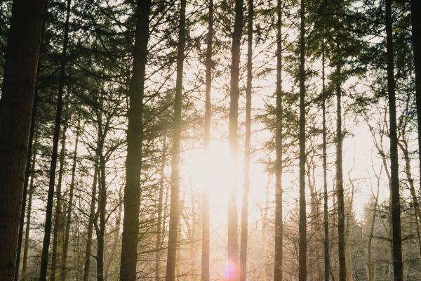 属羊的人怎么改运