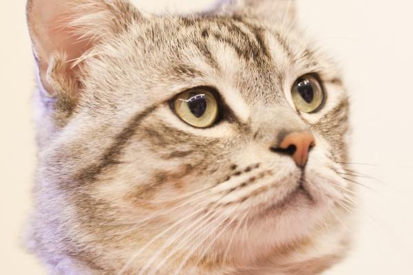 78年2025年每月运势