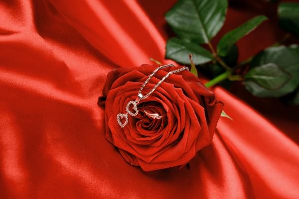 2012属龙男孩一生学业运