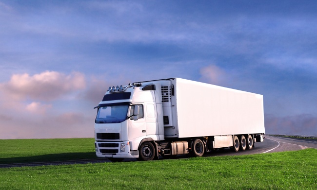 86年虎养几条鱼旺事业