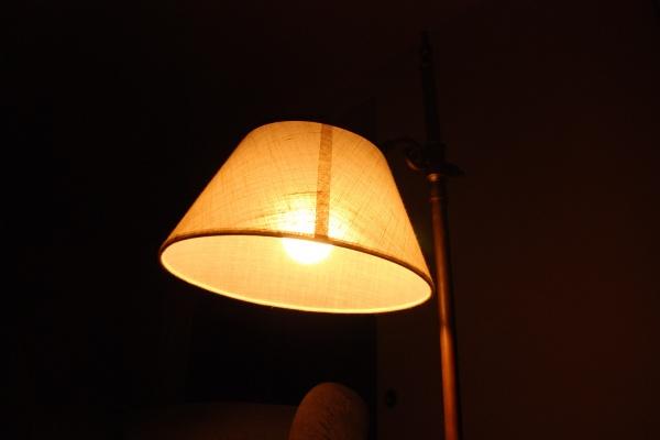 2026年是属猪人最大转变