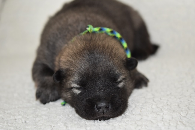 1973年属牛人2025的全年运势