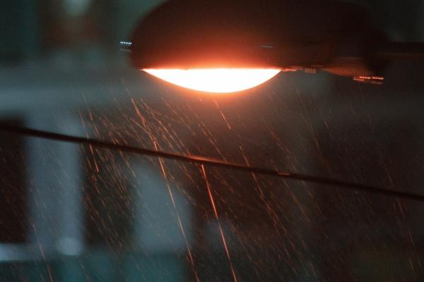 属龙女最后嫁给了谁