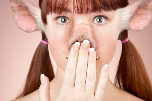 属马找对象属什么最佳