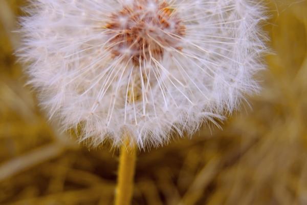 66年马最难熬的一年