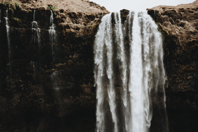 老人言正月的蛇二月的鼠的意思,正月的老鼠命好不好