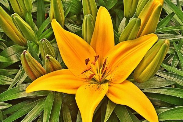 68年属猴的2025年运势