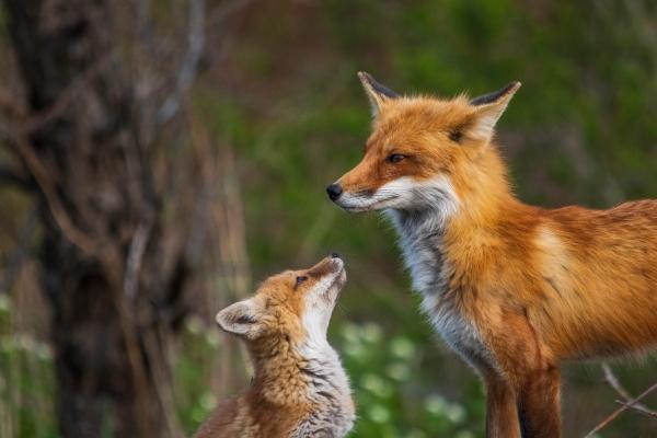 2025属羊的贵人和小人