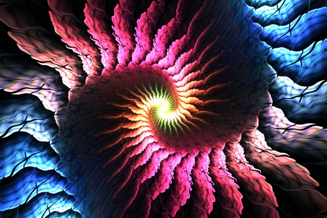 属狗人财运方向与位置