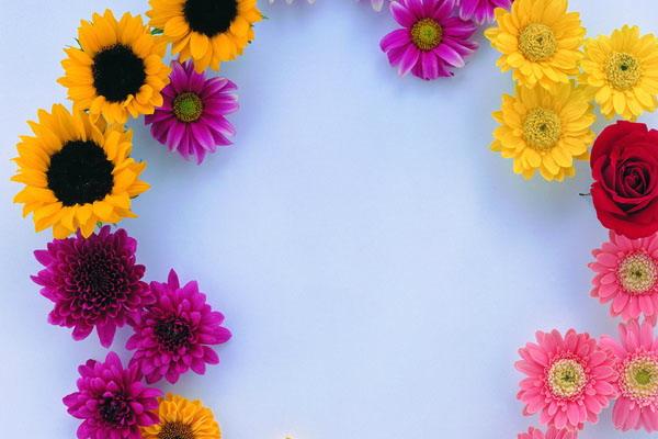 69年鸡2025运势及运程详解