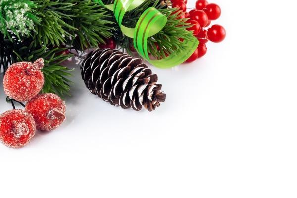 木蛇之命和什么命相克