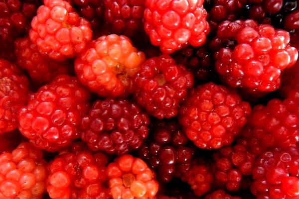 属兔人跟谁一起最幸福