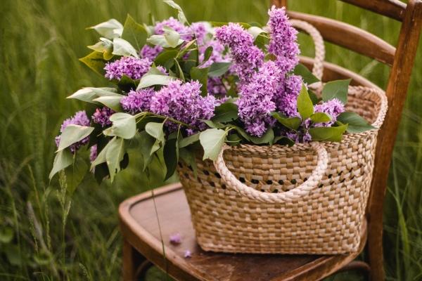 1998属虎男正缘是第几段