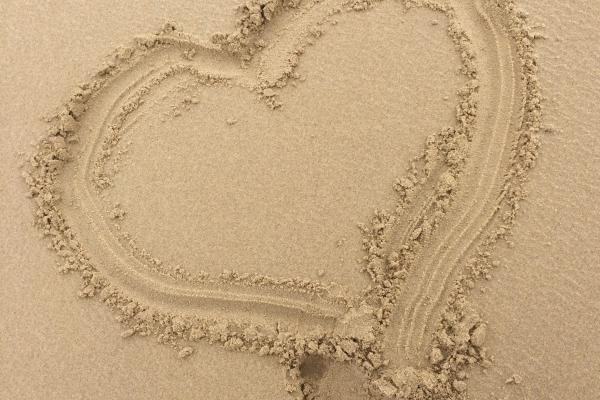 属兔最疼哪个生肖女