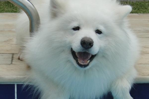 2025蛇宝宝最忌什么