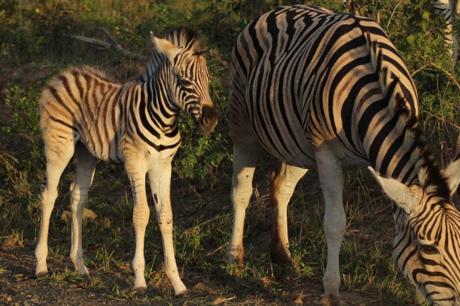 属龙人最佳楼层是几层