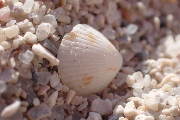 99属兔女的性格和脾气