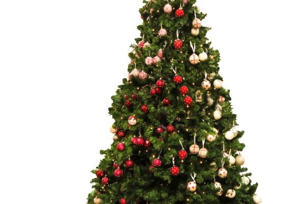 2024属兔的要躲着谁