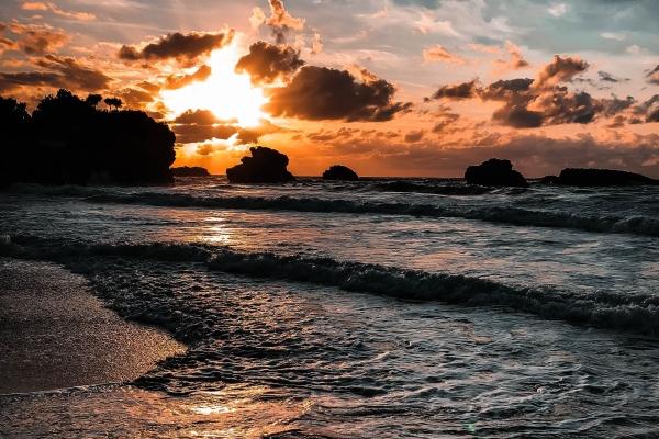 属牛佩戴什么菩萨佛像