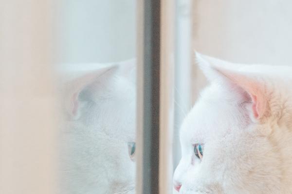 命好龙女一般生在农历几月