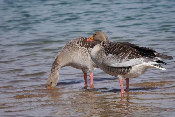 04年猴人未来十年运势