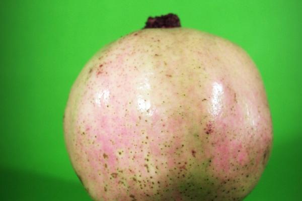 1972年属鼠未来5年运势