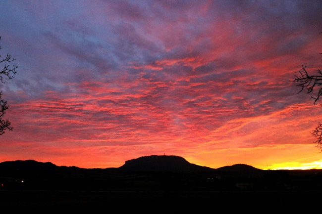 1959年属猪的大运年是哪年