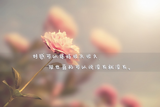 87年兔子什么时候转运