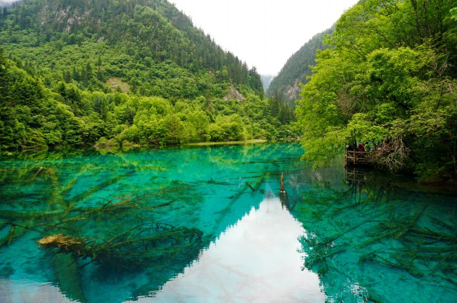 78年属马人忌住几楼