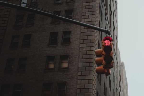 07年几月猪最有福气