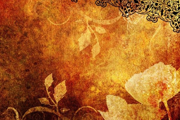 97属牛男正缘在哪一年