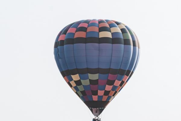 25年属羊的运势