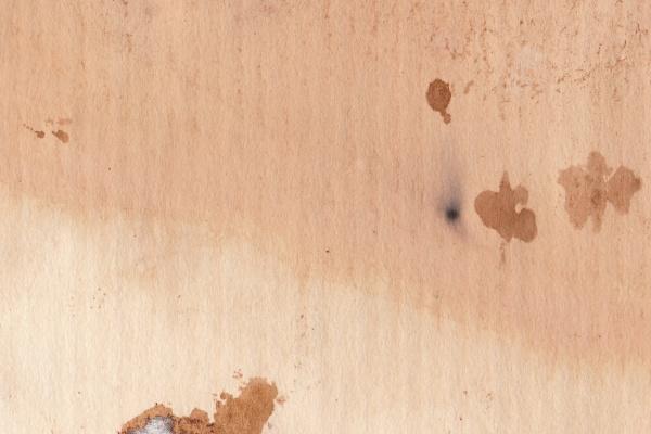 属猴人跟谁一起最幸福