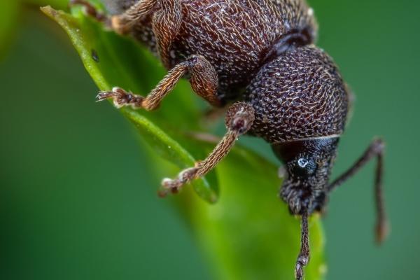 属牛女享谁的福