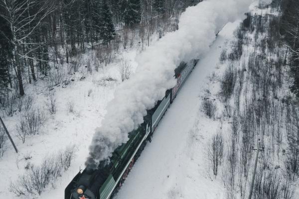 1979年属羊人的婚姻与命运